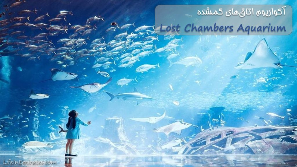 آکواریوم اتاق‌های گمشده Lost Chambers Aquarium
