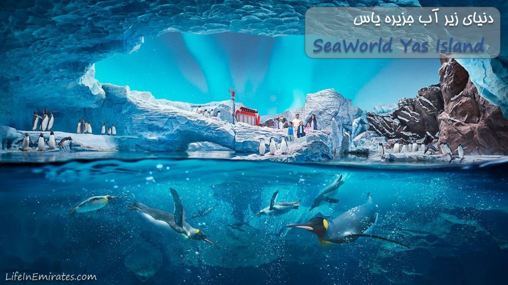 دنیای زیر آب جزیره یاس SeaWorld Yas Island